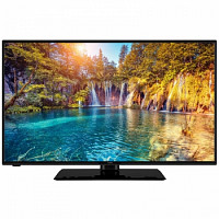 GoGEN TVF 43P452T